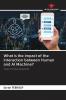 What is the impact of the interaction between Human and AI Machine?