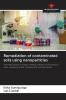 Remediation of contaminated soils using nanoparticles