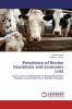 Prevalence of Bovine Fasciolosis and Economic Loss