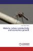 Malaria Labour productivity and economics growth