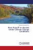 River Runoff in Ukraine Under Climate Change Conditions