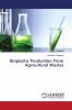 Bioplastic Production From Agricultural Wastes