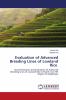 Evaluation of Advanced Breeding Lines of Lowland Rice