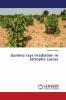 Gamma rays irradiation in Jatropha curcas