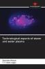 Technological aspects of steam and water plasma