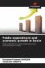 Public expenditure and economic growth in Benin