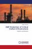 EMP Protection of Critical Civilian Infrastructure