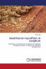 Seed-borne mycoflora in sorghum