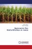 Agronomic Zinc Biofortification in maize