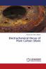 Electrochemical Decay of Plain Carbon Steels