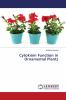 Cytokinin Function in Ornamental Plants