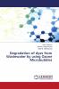 Degradation of dyes from Wastewater by using Ozone Microbubbles
