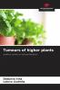 Tumours of higher plants