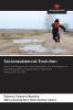 Socioassistencial Evolution