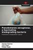 Pseudomonas aeruginosa a fascinating biodegrading bacteria
