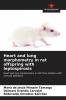 Heart and lung morphometry in rat offspring with leptospirosis