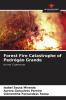 Forest Fire Catastrophe of Pedr��g��o Grande