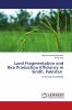Land Fragmentation and Rice Production Efficiency in Sindh Pakistan