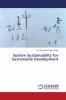 System Sustainability for Sustainable Development