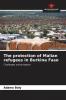 The protection of Malian refugees in Burkina Faso