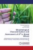 Morphological Characterization and Assessment of D2 in Bread Wheat