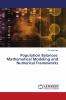 Population Balances: Mathematical Modeling and Numerical Frameworks