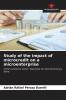 Study of the impact of microcredit on a microenterprise