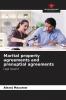 Marital property agreements and prenuptial agreements