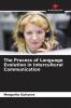 The Process of Language Evolution in Intercultural Communication