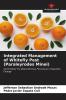 Integrated Management of Whitefly Pest (Paraleyrodes Minei)