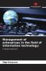 Management of enterprises in the field of information technology