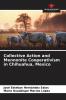 Collective Action and Mennonite Cooperativism in Chihuahua Mexico