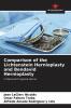 Comparison of the Lichtenstein Hernioplasty and Bendavid Hernioplasty