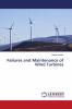 Failures and Maintenance of Wind Turbines