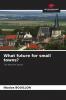 What future for small towns?