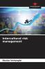 Intercultural risk management