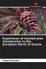 Experience of twisted pine introduction in the European North of Russia