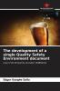 The development of a single Quality Safety Environment document