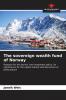 The sovereign wealth fund of Norway
