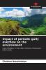 Impact of periodic gully overflow on the environment