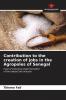 Contribution to the creation of jobs in the Agropoles of Senegal