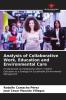 Analysis of Collaborative Work Education and Environmental Care