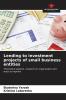 Lending to investment projects of small business entities