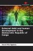 External debt and human development in the Democratic Republic of Congo