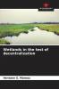 Wetlands in the test of decentralization