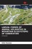 LARVAL FORMS OF ANIMAL HELMINTHS IN MOUNTAIN ECOSYSTEMS OF UZBEKISTAN