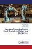 Numerical Investigation of Crack Growth in Metals and Composites