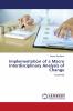 Implementation of a Macro Interdisciplinary Analysis of Change