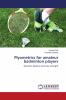 Plyometrics for amateur badminton players