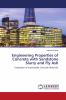 Engineering Properties of Concrete with Sandstone Slurry and Fly Ash